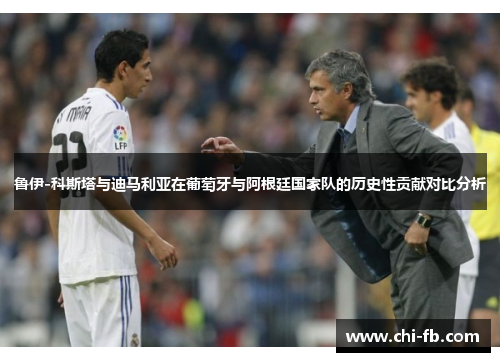 鲁伊-科斯塔与迪马利亚在葡萄牙与阿根廷国家队的历史性贡献对比分析