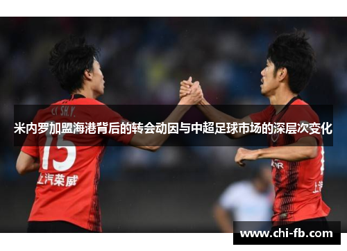 米内罗加盟海港背后的转会动因与中超足球市场的深层次变化