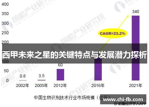 西甲未来之星的关键特点与发展潜力探析