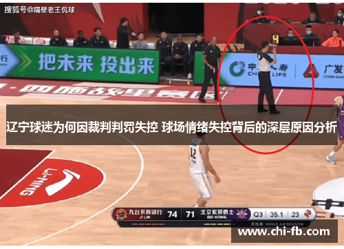 辽宁球迷为何因裁判判罚失控 球场情绪失控背后的深层原因分析