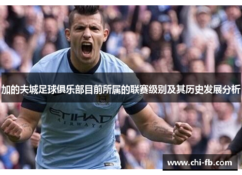 加的夫城足球俱乐部目前所属的联赛级别及其历史发展分析 加的夫城足球俱乐部目前所属的联赛级别及其历史发展分析