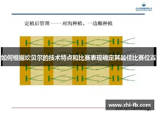 如何根据坎贝尔的技术特点和比赛表现确定其最佳比赛位置