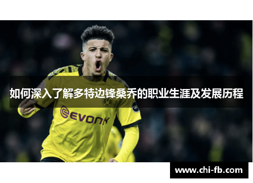 如何深入了解多特边锋桑乔的职业生涯及发展历程