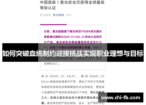 如何突破血统制约迎接挑战实现职业理想与目标